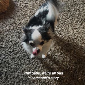 Meet your Posher, Holley